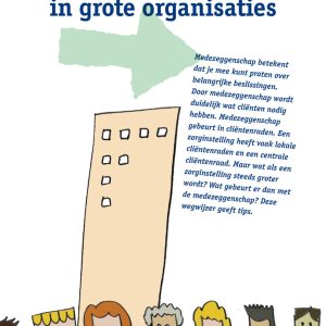 Medezeggenschap in grote organisaties